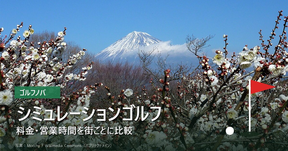 ゴルフシミュレーターの画面と打席。シミュレーションゴルフの一覧